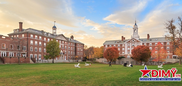 Trường đại học đẹp ở Mỹ