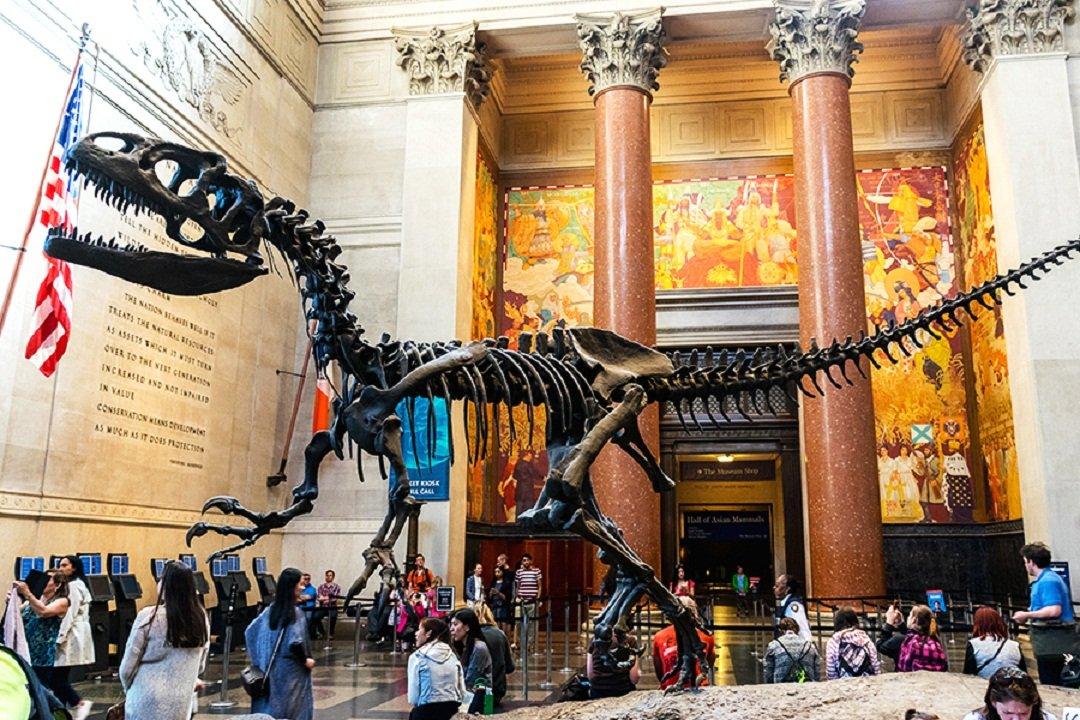 Bảo tàng ở New York luôn thu hút hàng triệu khách du lịch mỗi năm
