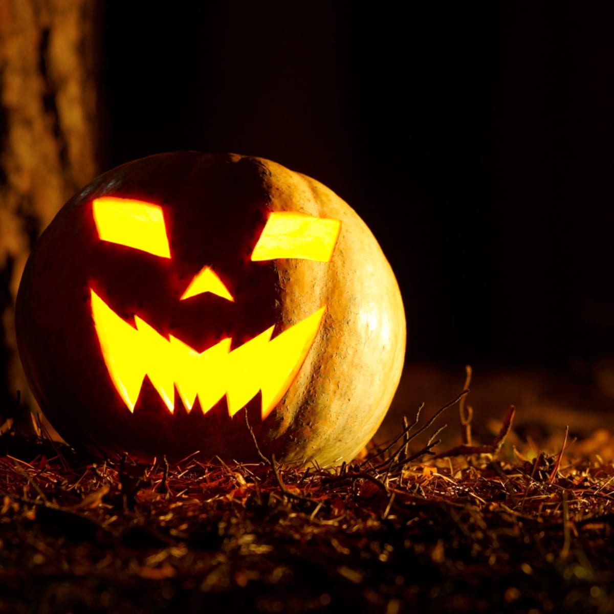 Jack o Lanterns là một tục lệ kỳ lạ mùa Halloween khi người dân khắc mặt lên bí ngô và thắp nến vào trong đó