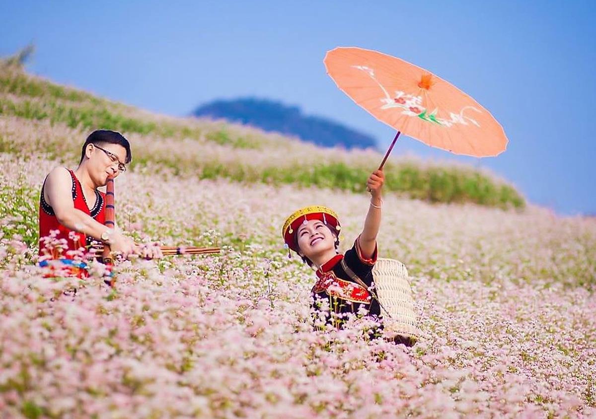 Lễ hội Tam Giác Mạch ở Hà Giang nổi bật với rừng hoa trắng muốt tinh khôi